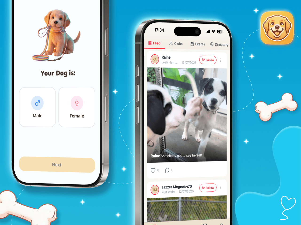 Dog Care - Training Plans preview