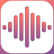 Voice Recorder